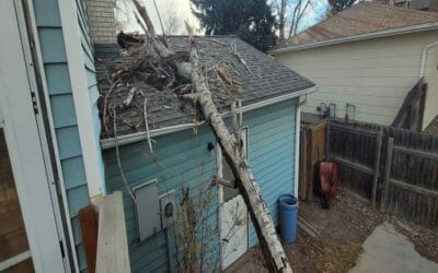 Some Reasons Why Denver Homeowners Replace Their Roofing