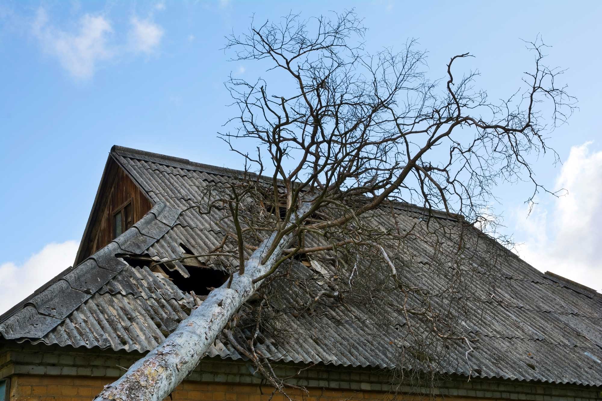 storm damaged roof, Denver