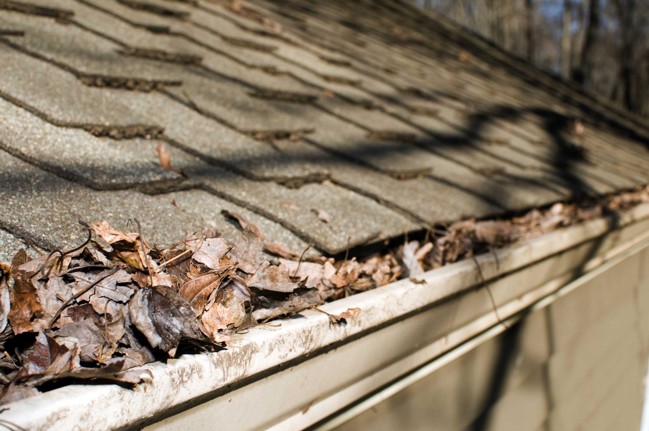 when to replace gutters, gutter damage, gutter replacement